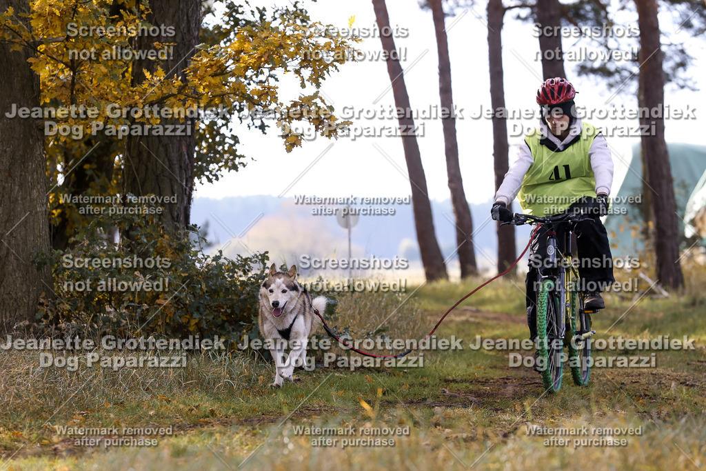 Dog Paparazzi - Elsholz 25 -156 | Dog Paparazzi Jeanette Grottendiek Fotografie & Videografie - Realisiert mit Pictrs.com