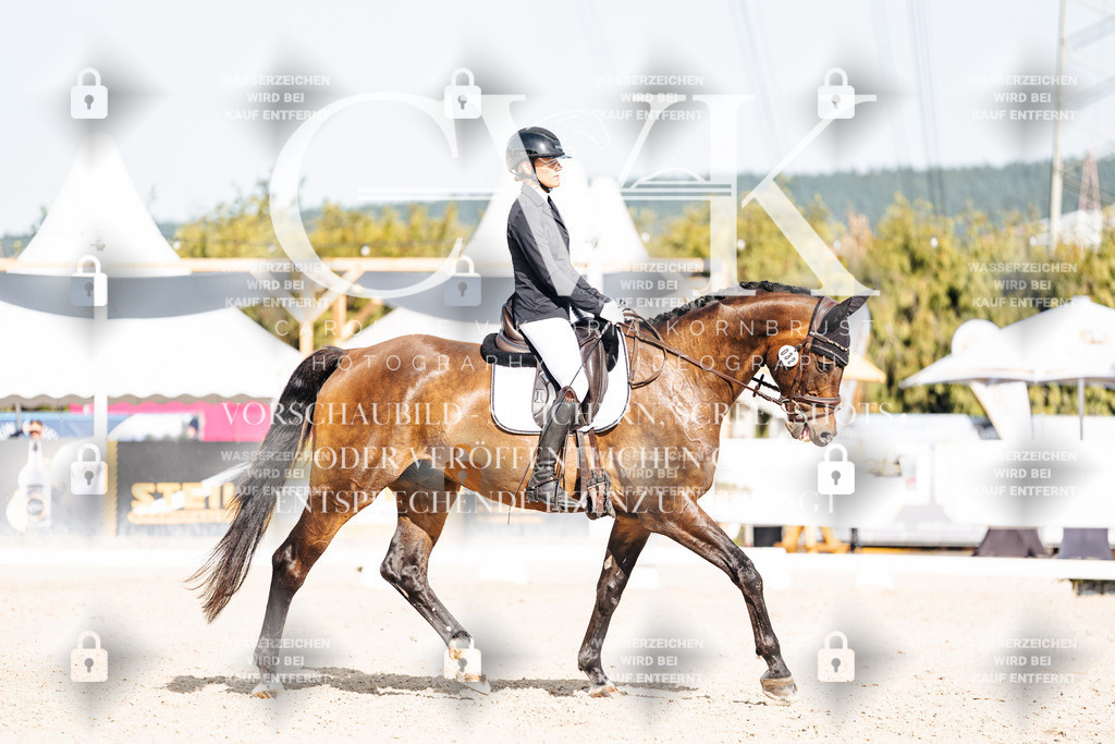 CK905483 | Turnierfotografie Pferdefotografie Trier Rheinland-Pfalz Pferdesport Reitsport Tierfotografie Sportfotografie Pferdevideo Pferdevideografie Equestrianvideography equestrianphotography  - Realisiert mit Pictrs.com