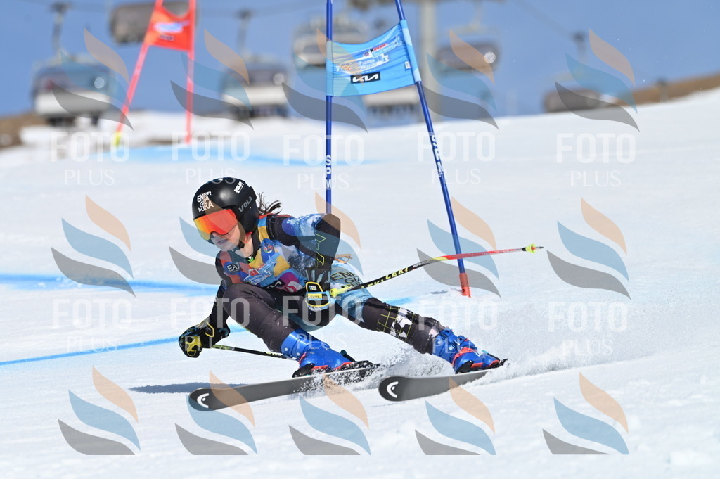 BGV_9457 | holidayphoto