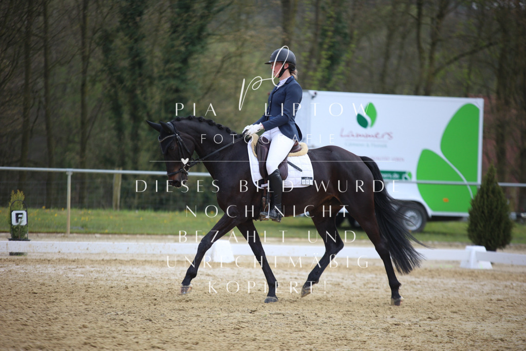 IMGT6248 | pl-fotografie