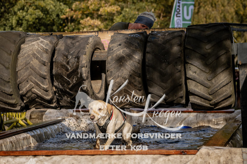 1300_ZZ91561 | kk-dogfotos