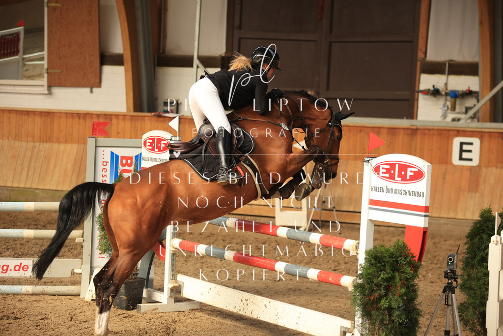 IMGT6152 | pl-fotografie