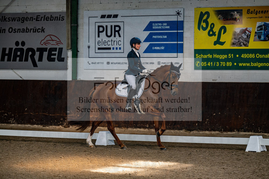 20240308-DOS_4382 | Entdecke hochwertige Reitturnierfotos von Foto Oger. Professionell, emotional und authentisch – jetzt Lieblingsmomente im Shop bestellen.Deutschlandweite Turnierfotografie. - Realisiert mit Pictrs.com