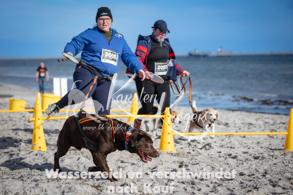 1331_ZZ91696 | kk-dogfotos
