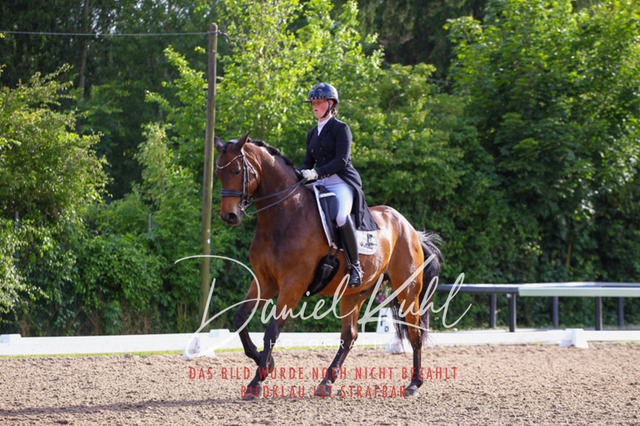 DKP41715 | Turnierfotos kaufen im Webshop von Daniel Kuhl Photography – entdecke professionelle Reitsportfotos aus Turnieren & Events. Hochwertige Turnierbilder online bestellen & sichern. Jetzt Fotos von Reitsportturnieren kaufen!