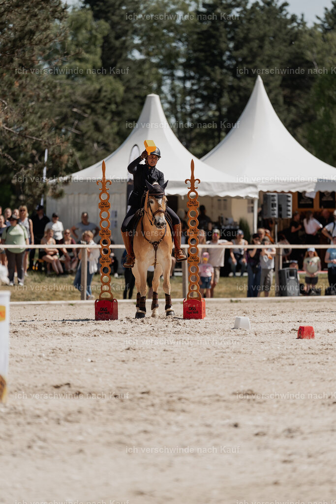 WE_SP_Stoib_308_PI2025_1628 | Pferd International München 2025