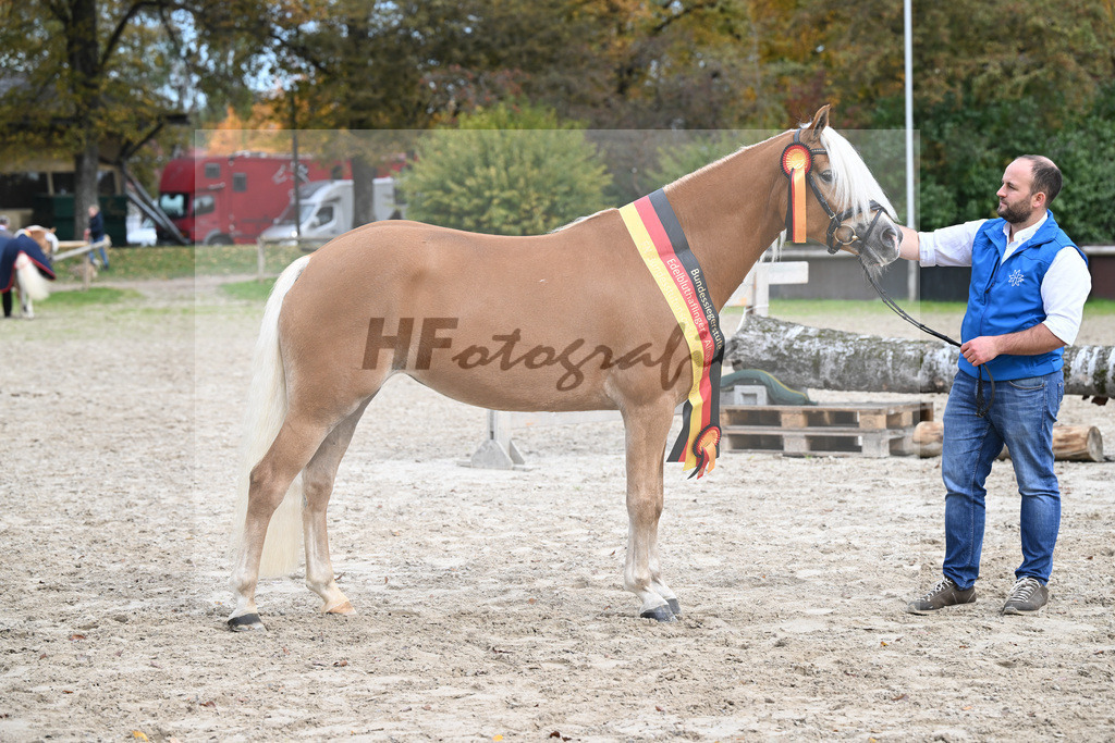 Kat-Nr. 306 Piroschka_Familie Babel_54223517 | hf-fotografie - Realisiert mit Pictrs.com