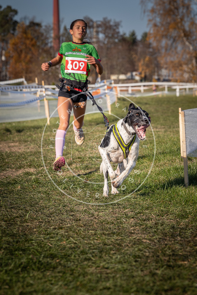 CaniXpix_0L8A8614 | Hundefotografie, Tierfotograf, Pfotenfotografie, Fotoshooting Hund, Hunde Portrait, Hundesport, Hundeportraits, Heideshooting, Hunde, Sportfotograf, Hundefotograf, Turnierhundsport, THS,  - Realisiert mit Pictrs.com