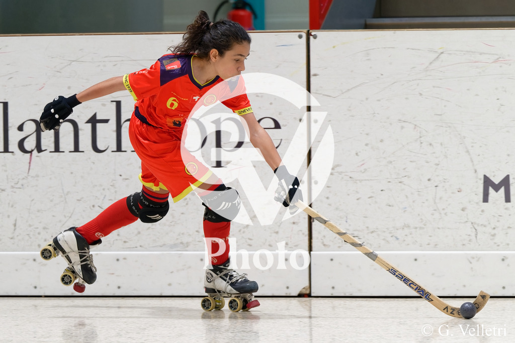 DSC_6218 | Velletri Photo