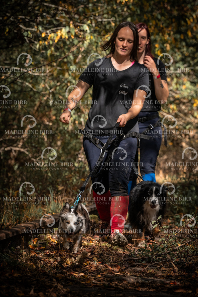 madeleinebirr.fotografie.2026.cc.hunsrueck.12-13Uhr.325 | hundefotografie-birr