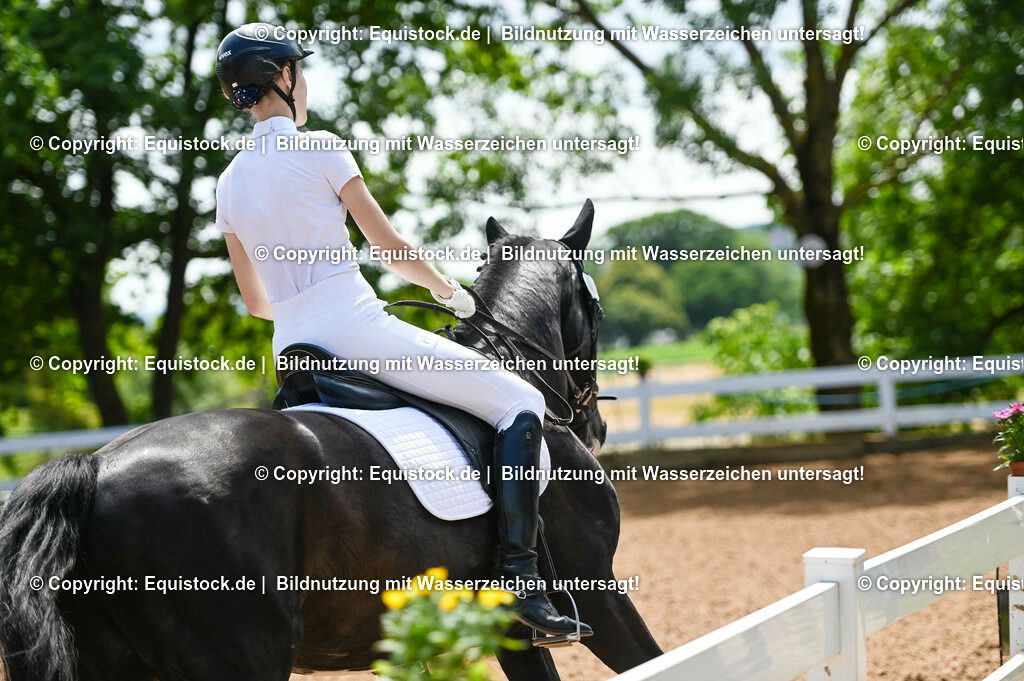 20230716_03_Dressurprfg. Kl.L - Tr._0013 | equistock
