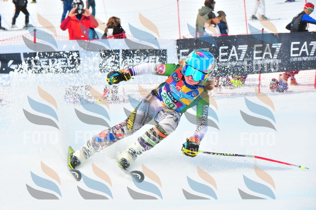 DSC_2707 | holidayphoto