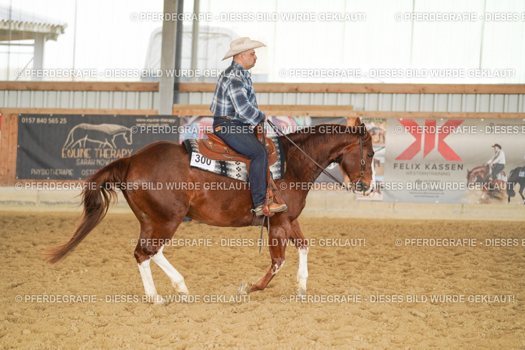 DSC01487 | Pferdegrafie