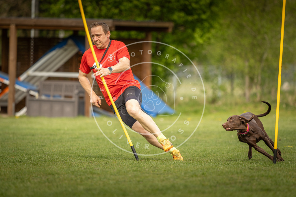 Pfotenfotografie_DV3A5278 | Hundefotografie, Tierfotograf, Pfotenfotografie, Fotoshooting Hund, Hunde Portrait, Hundesport, Hundeportraits, Heideshooting, Hunde, Sportfotograf, Hundefotograf, Turnierhundsport, THS,  - Realisiert mit Pictrs.com