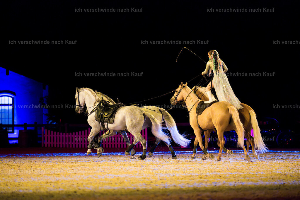Gala-348 | working equitationturnier fotograf videograf stoibphotography marixx film working equitation deutschland reitsport turnierfotografie eventfotografie equestrian events