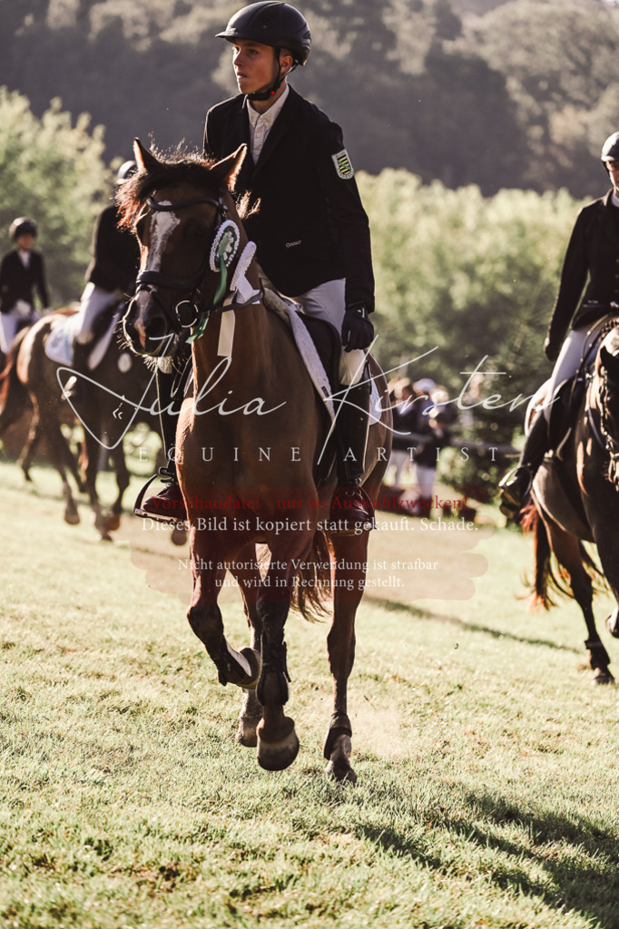 DSC_4641 | Pferde- und Turnierfotografie in Westsachsen. Pferdeportraits, Auftragszeichnungen und intuitive Kunst.