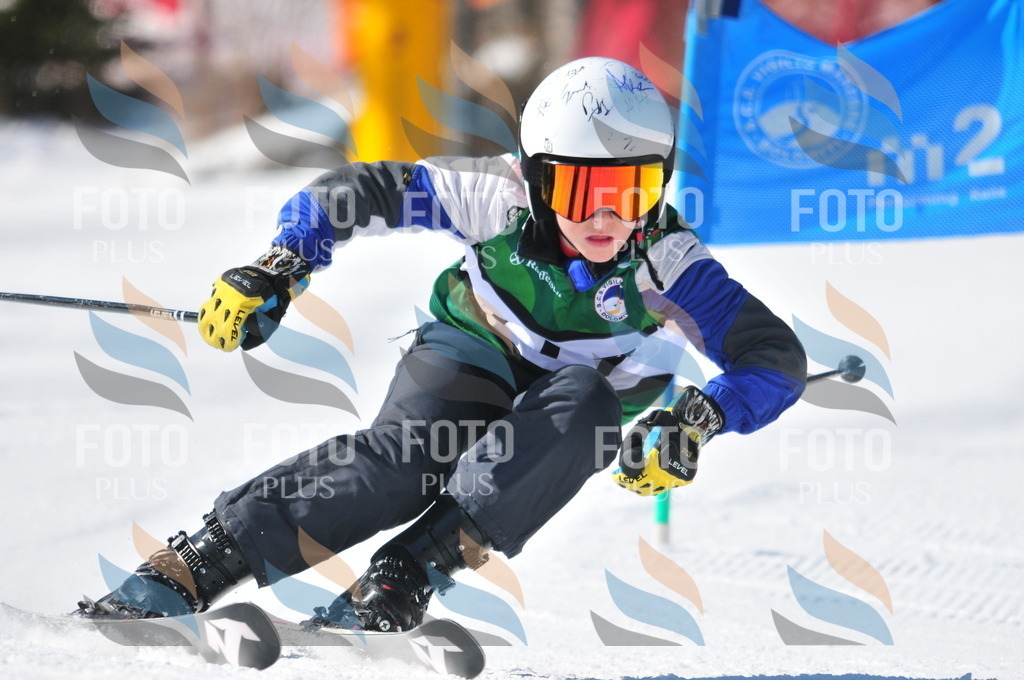 C3724 | holidayphoto