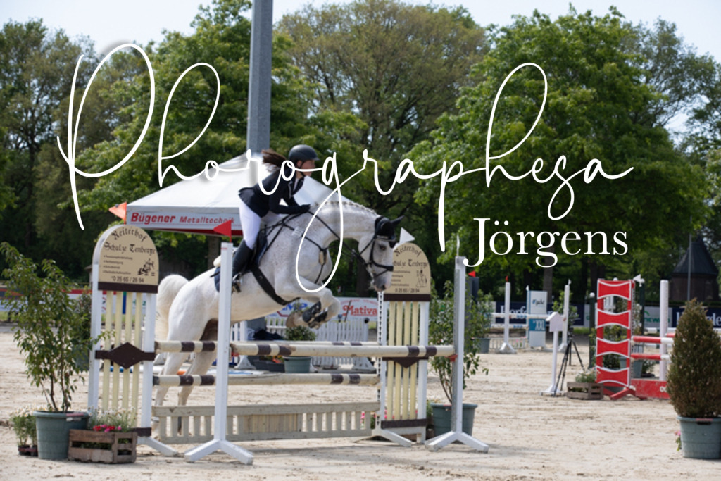 IMG_4010 | photographesa-joergens - Realisiert mit Pictrs.com