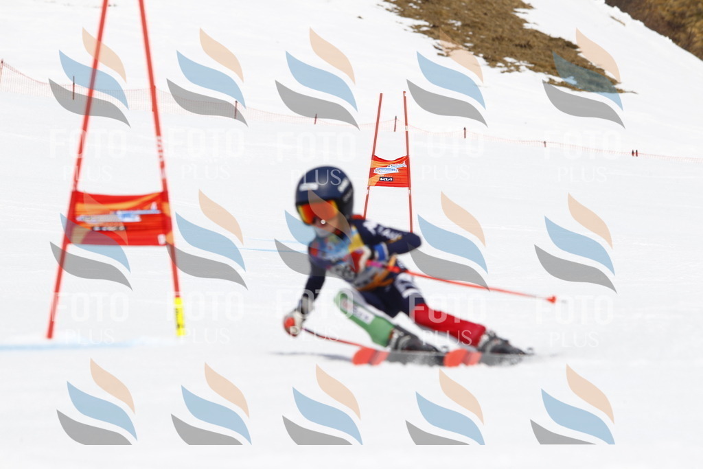 _U3G6636 | holidayphoto