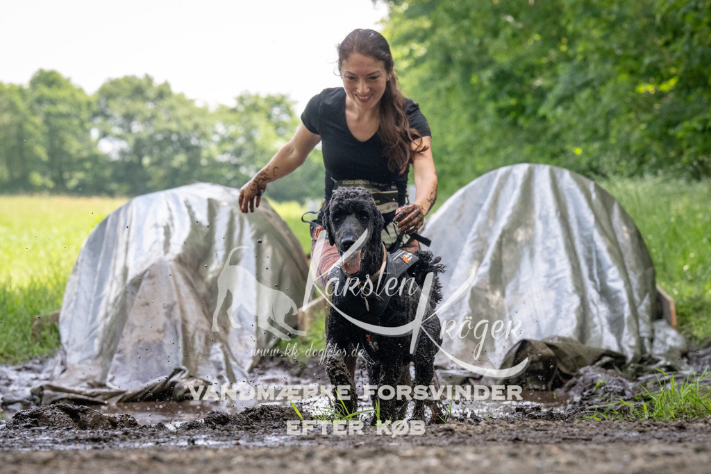 1149_ZZ94838 | kk-dogfotos