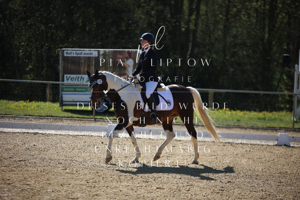 IMGT9784 | pl-fotografie