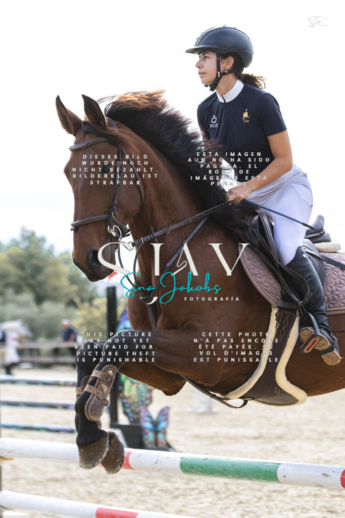 IMG_5502 | s-jay-photography - Realisiert mit Pictrs.com