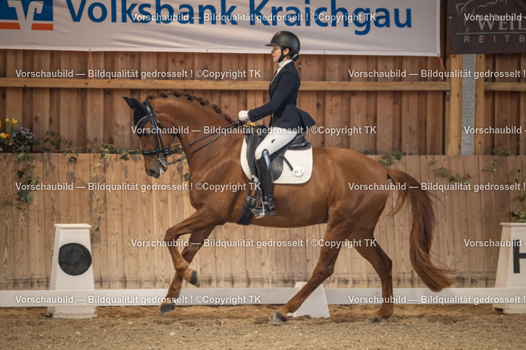 _D5A8948 | Emotionale Pferde- & People-Fotografie rund um Heidelberg, Leimen & Umgebung. Natürliche Fotos von Pferd, Mensch & Familie. Jetzt Termin sichern!