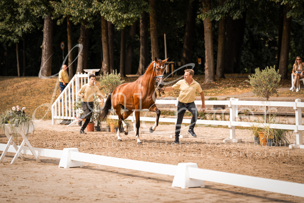 6.Fr00099 | Leoni Ertmer Photography - Realisiert mit Pictrs.com