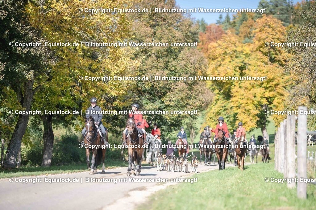 20251011_Jagd-Marbach_0582 | Foto: Thomas Hartig