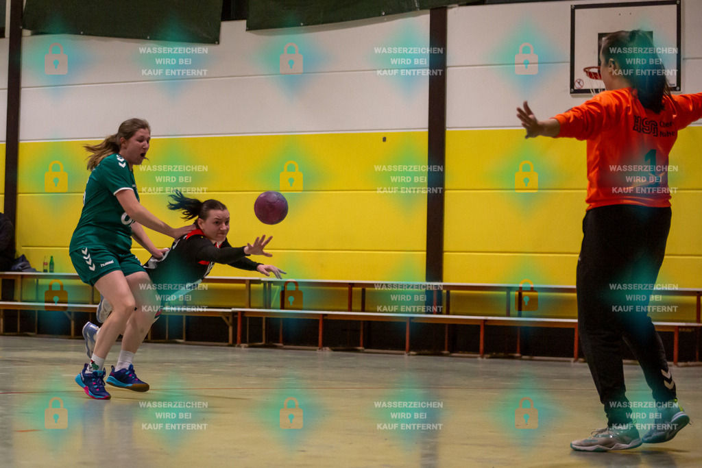 _HP_7180_3000o | TV Welling Damen vs. HSG ObereNahe 04.02.2024