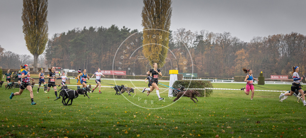 CaniXpix_DV3A8751 | Hundefotografie, Tierfotograf, Pfotenfotografie, Fotoshooting Hund, Hunde Portrait, Hundesport, Hundeportraits, Heideshooting, Hunde, Sportfotograf, Hundefotograf, Turnierhundsport, THS,  - Realisiert mit Pictrs.com