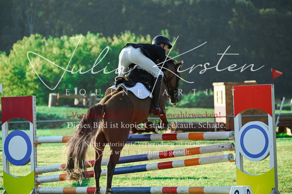 DSC_4131 | Pferde- und Turnierfotografie in Westsachsen. Pferdeportraits, Auftragszeichnungen und intuitive Kunst.