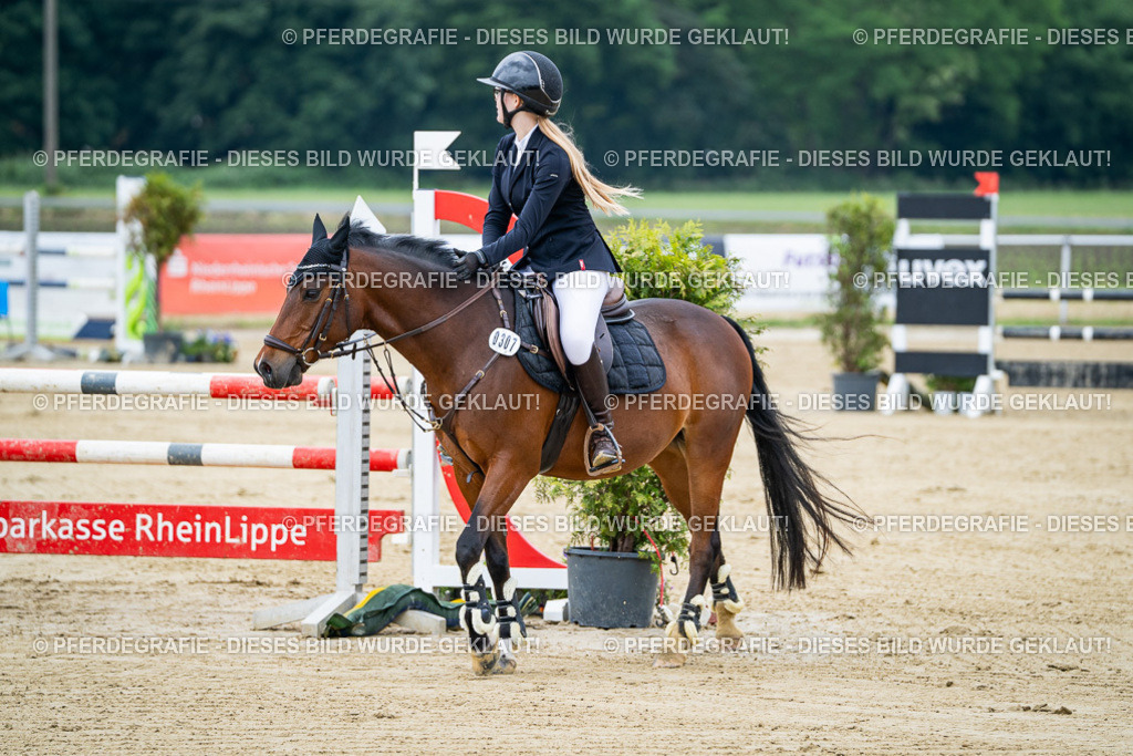 DSC03261 | Pferdegrafie