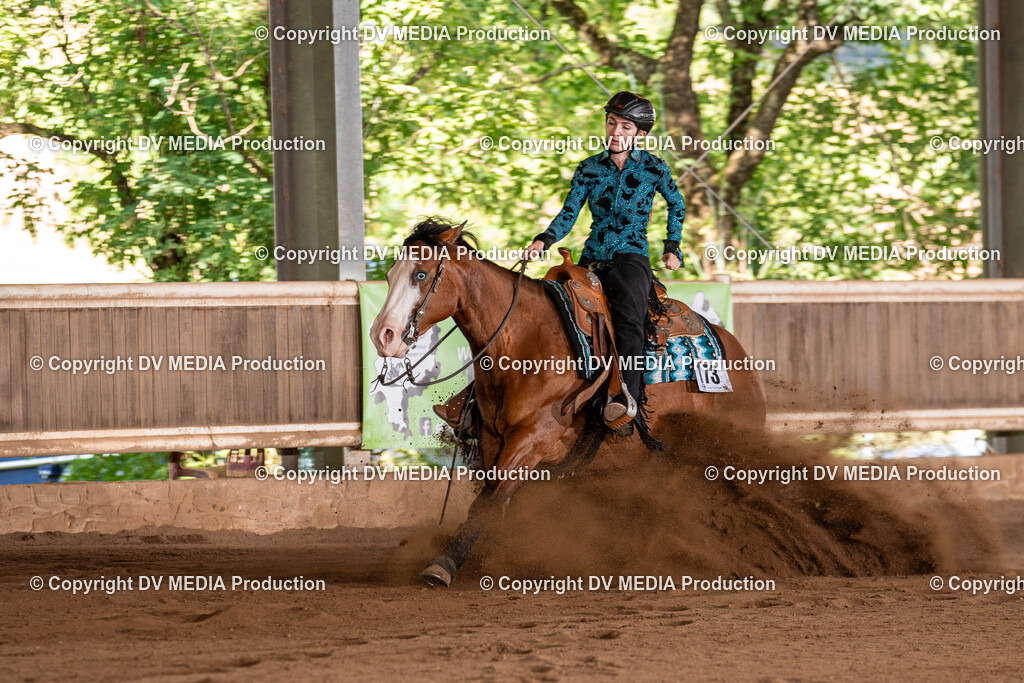 Erbach Tag 2-910 | dv-media-shop - Realisiert mit Pictrs.com