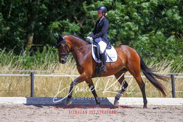 DKP46568 | Turniersportfotografie; Pferdefotografie; Dressurfotografie