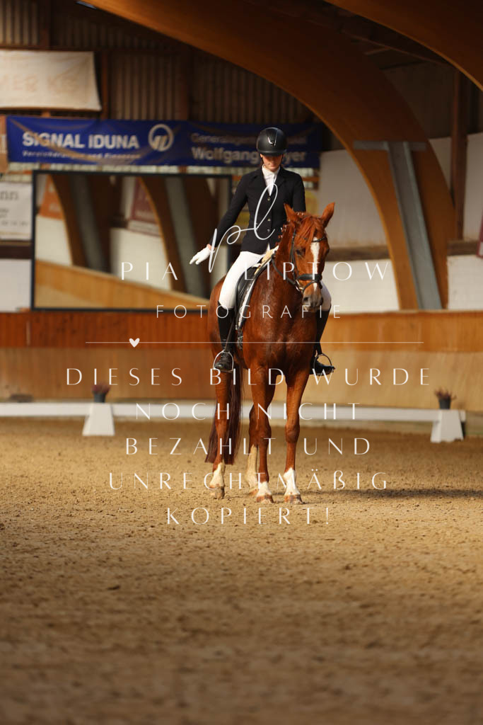 IMGM4012 | pl-fotografie