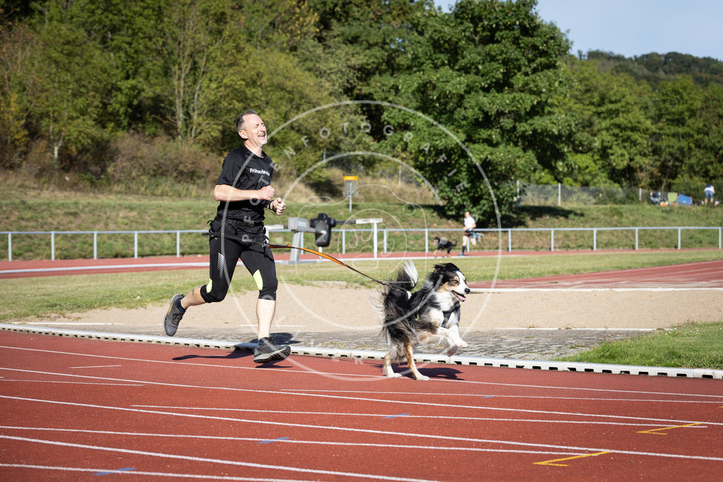 Pfotenfotografie_DV3A9973 | Hundefotografie, Tierfotograf, Pfotenfotografie, Fotoshooting Hund, Hunde Portrait, Hundesport, Hundeportraits, Heideshooting, Hunde, Sportfotograf, Hundefotograf, Turnierhundsport, THS,  - Realisiert mit Pictrs.com