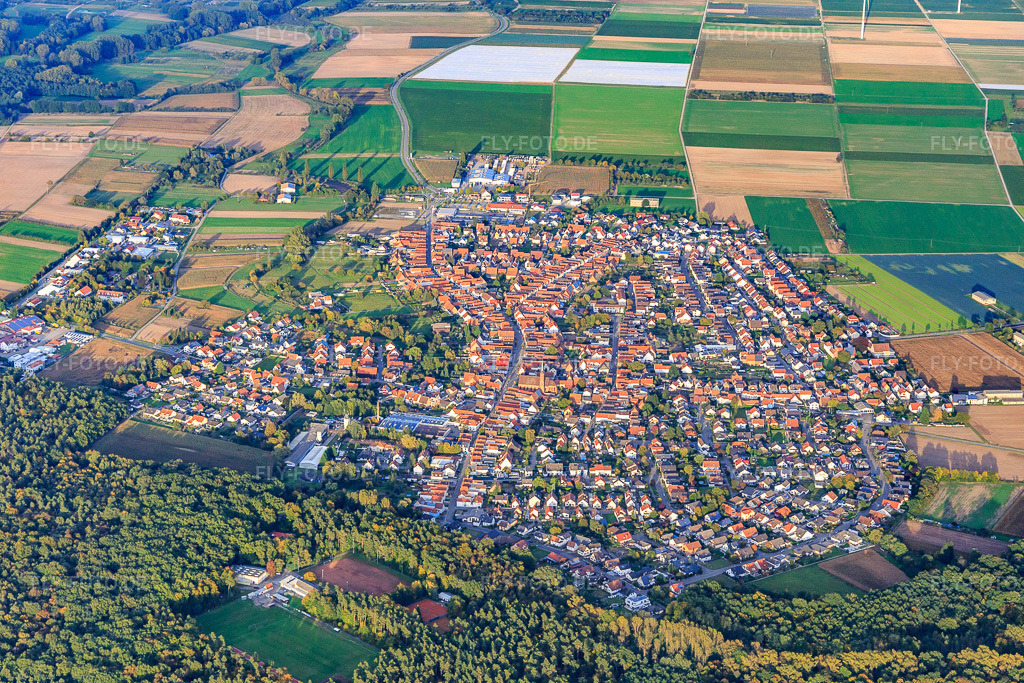 Luftbild: Ortsansicht aus Westen in Harthausen im Bundesland Rheinland-Pfalz in Deutschland. Foto: IMG_103853.jpg vom 01.10.2017 durch Werner Riehm/FLY-FOTO.de