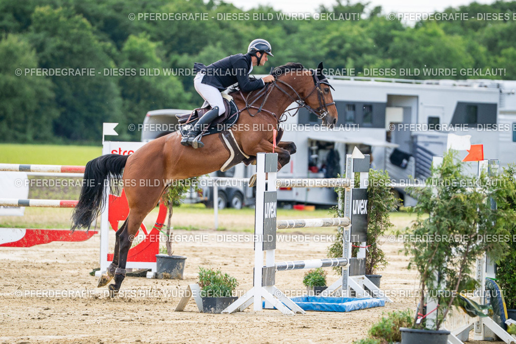 DSC07390 | Pferdegrafie