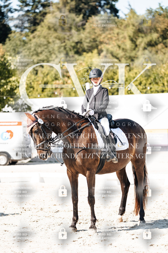 CK903035 | Turnierfotografie Pferdefotografie Trier Rheinland-Pfalz Pferdesport Reitsport Tierfotografie Sportfotografie Pferdevideo Pferdevideografie Equestrianvideography equestrianphotography  - Realisiert mit Pictrs.com