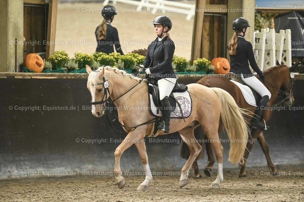 03_Reiter-WB_0084 | Foto: Thomas Hartig