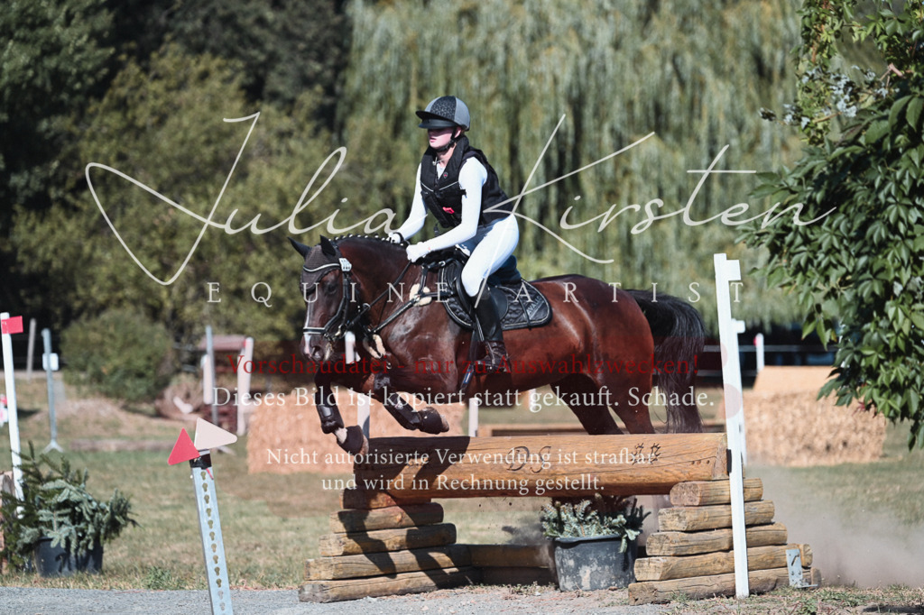 DSC_8796 | Pferde- und Turnierfotografie in Westsachsen. Pferdeportraits, Auftragszeichnungen und intuitive Kunst.