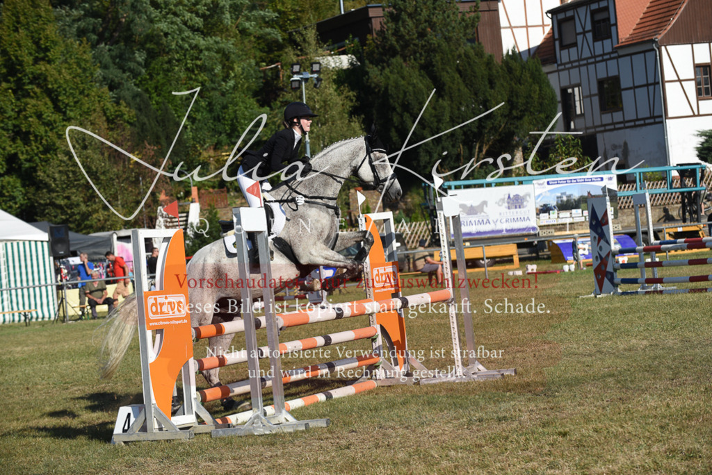 DSC_5270 | Pferde- und Turnierfotografie in Westsachsen. Pferdeportraits, Auftragszeichnungen und intuitive Kunst.