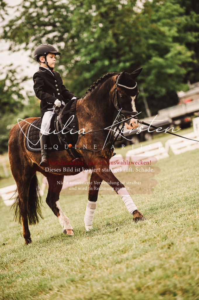 DSC_5308 | Pferde- und Turnierfotografie in Westsachsen. Pferdeportraits, Auftragszeichnungen und intuitive Kunst.