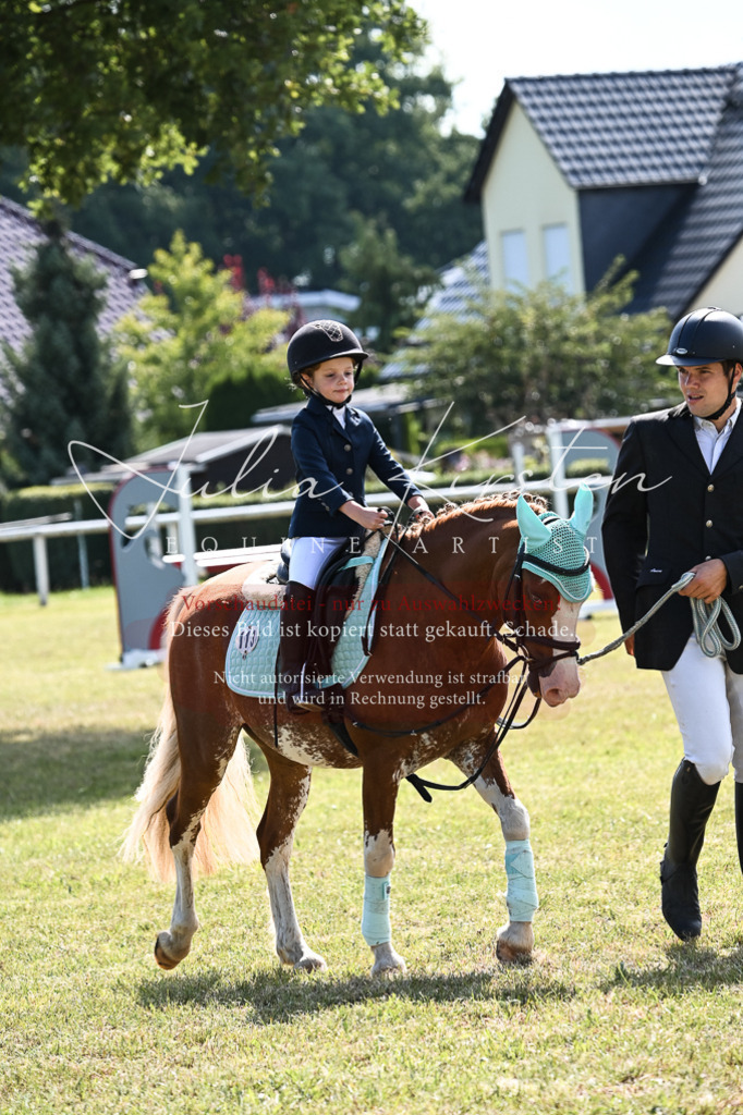 DSC_6848 | Pferde- und Turnierfotografie in Westsachsen. Pferdeportraits, Auftragszeichnungen und intuitive Kunst.