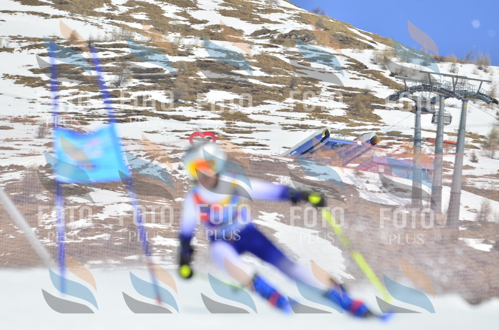 _ELE2071 | holidayphoto