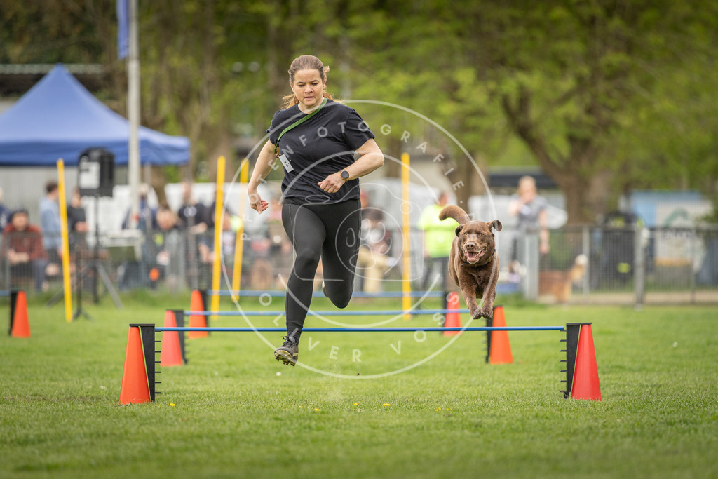 Pfotenfotografie_DV3A0453 | Hundefotografie, Tierfotograf, Pfotenfotografie, Fotoshooting Hund, Hunde Portrait, Hundesport, Hundeportraits, Heideshooting, Hunde, Sportfotograf, Hundefotograf, Turnierhundsport, THS,  - Realisiert mit Pictrs.com