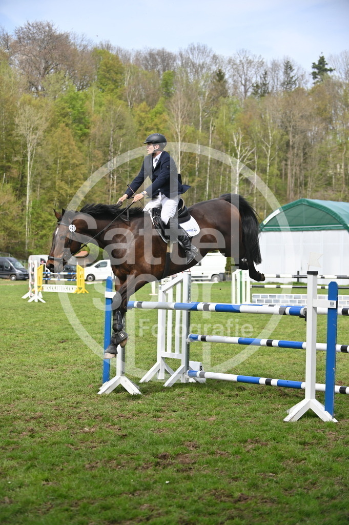 DSC_3829 | sattelsport - Realisiert mit Pictrs.com