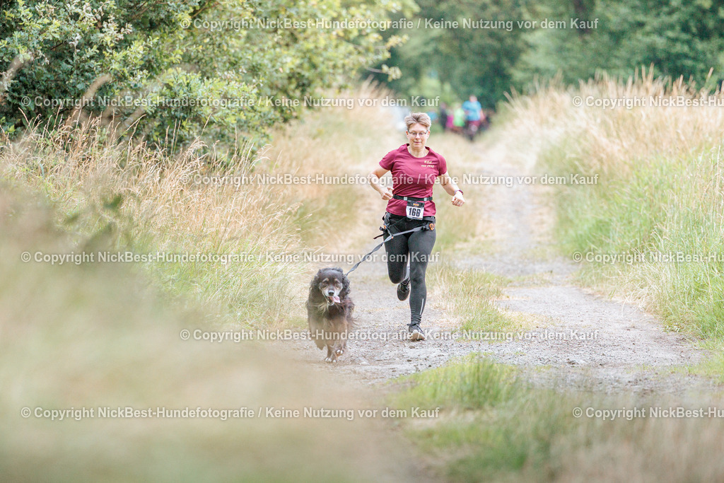 THS-Quakenbrück-2026-Nickbest-Hundefotografie-0871 | Dein Hund! Dein Moment! Deine Erinnerungen! Hundefotografie in Bremen Blumenthal. Ich fange die besonderen Momente deines Vierbeiners ein – ob Indoor mit Blitzanlage oder in der freien Natur. Sicher dir dein Moment und dein Termin für eure Erinnerungen.