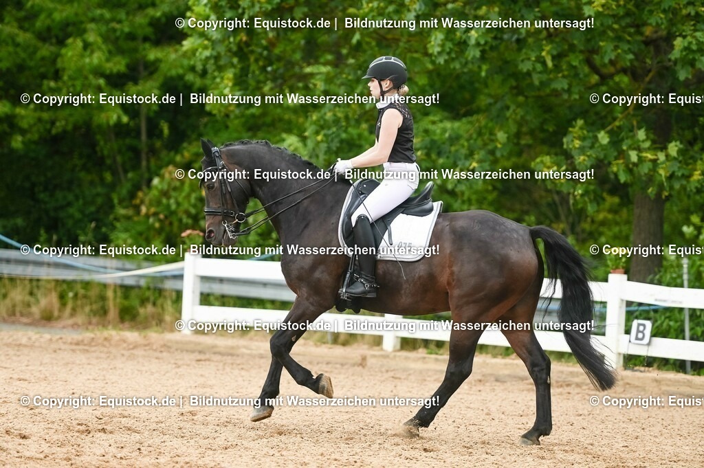 20230716_01_Dressurprüfung Kl.M_0466 | equistock